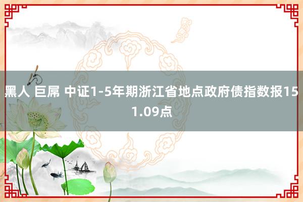 黑人 巨屌 中证1-5年期浙江省地点政府债指数报151.09点