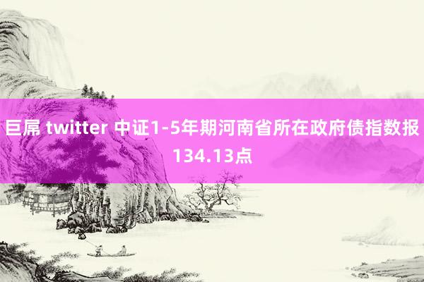 巨屌 twitter 中证1-5年期河南省所在政府债指数报134.13点