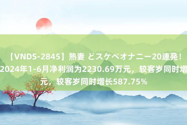 【VNDS-2845】熟妻 どスケベオナニー20連発！！ 索菱股份2024年1-6月净利润为2230.69万元，较客岁同时增长587.75%