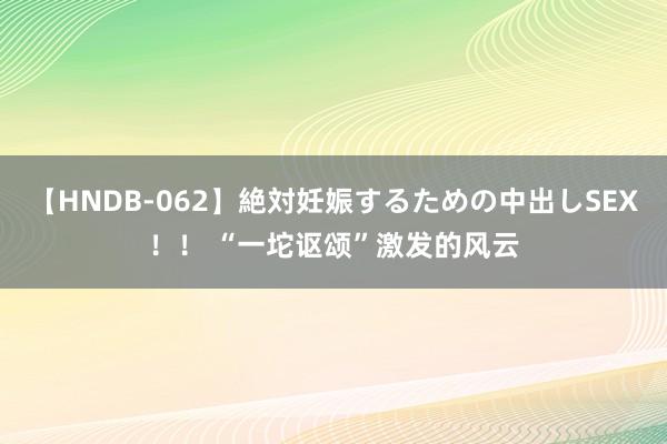 【HNDB-062】絶対妊娠するための中出しSEX！！ “一坨讴颂”激发的风云